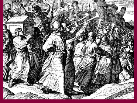 THE WALLS ARE COMING DOWN