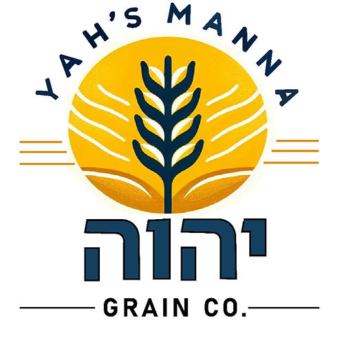 WhatsApp Image 2024-02-02 at 22.44_edite