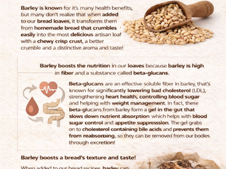 Boost Your Bread with Barley: Artisan Bakers use Barley for Improved Texture, Enhanced Flavor and added Nutrients
