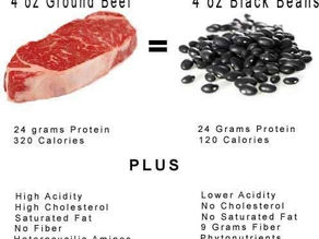 Beans: Healthy and Full of Protein