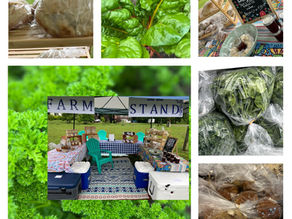 The Yah's Manna Farm Stand will be Open this Tuesday, June 24th from 12 Noon to 6PM in Flint Creek (Kansas), OK at Yah's Manna Grain Co and Farm - COME OUT AND SEE US IF YOU CAN!!!