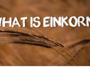 Einkorn