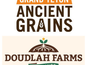 FRIENDLY REMINDER: THE YAH’S MANNA “WHEAT BERRIES, BEANS and POPCORN” BULK ORDER DEADLINE IS A WEEK AWAY!!! REMEMBER TO PLACE YOUR ORDER BY 12 NOON on MAY 2ND or BEFORE!!!