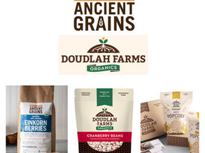 The Yah's Manna "Wheat Berry, Beans and Popcorn Bulk Order" is Closed for New Orders! We Reached 14,000lbs Towards Goal!!!