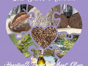 💜The Yah’s Manna “Heartwell Purple Wheat Berries, Olive Oil & More” Bulk Order is Happening Now!!!💜