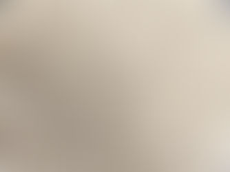 New Bulk Order for February 2023!!! Organic, Non-Gmo White Corn from Farm in Texas!!!