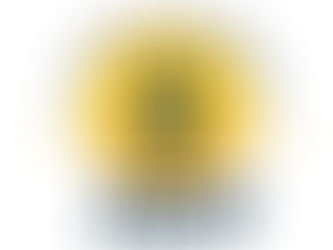 The Yah’s Manna “Oil, Corn and Rice Bulk Order” was a Success and was Delivered to the Drops!