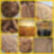 image0 (14).jpeg