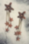 Red starfish earrings