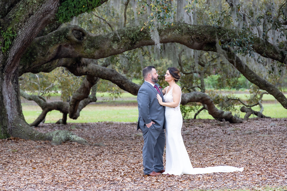 sprawling oak tree wedding photo