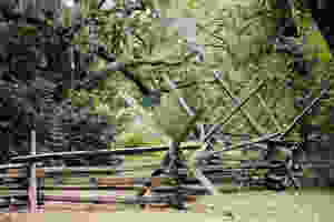 rustic fence charleston