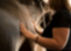 un massage de cheval