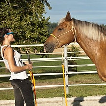 562797_10151091452509933_1446078025_n (1).jpg