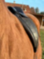 Initiation saddle fitting