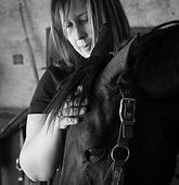 reiki pour cheval+locomotion+soins naturels pour chevaux