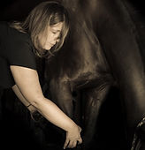 bodywork équin+équilibre du cheval+locomotion+musculature du cheval+stretching du cheval+mobilisation du cheval