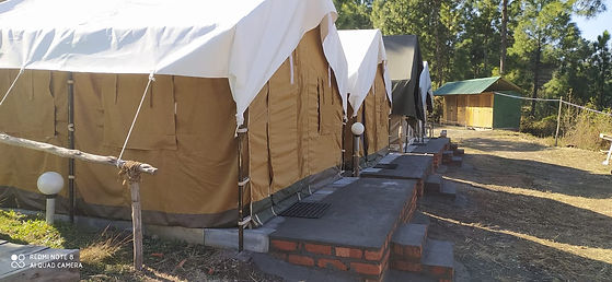 camping in shimla