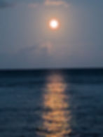The Day After the Lunar Eclipse, The Moon Lights the New Path Ahead