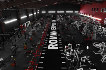 Roman Empire Gym - League City, TX - IMPACT Turf