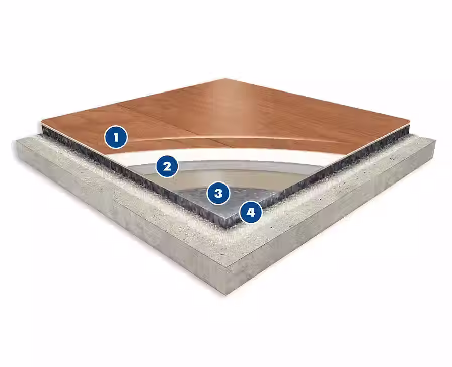 Cross-sections_Numbered7 (1).avif