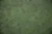 Green Pavers.webp