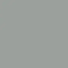 Morning-Fog_1200-0066.webp