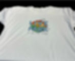 Live At The Park T-Shirt