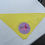 Thumbnail: FollyFest Dog Bandana