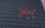 Embroidered Saddle Pad