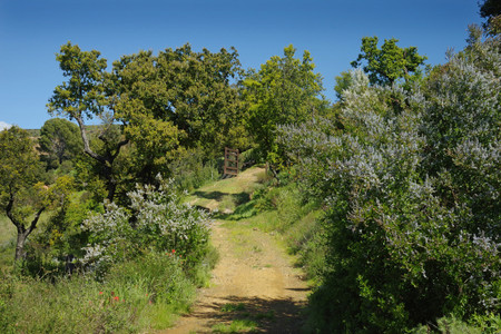 View from Trail Looking North_edited.jpg