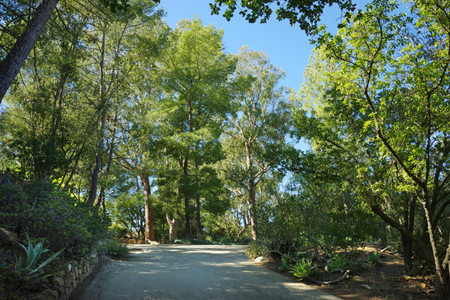Driveway 4 IMGP5814.jpg