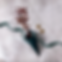 Screenshot 2023-09-04 at 18.32.14.png