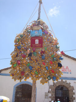 DSC06520.JPG