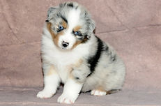 DSC_2658 BM reu2.JPG