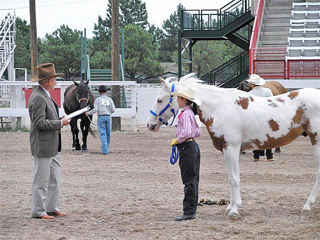 Pallassma Wins a Gold