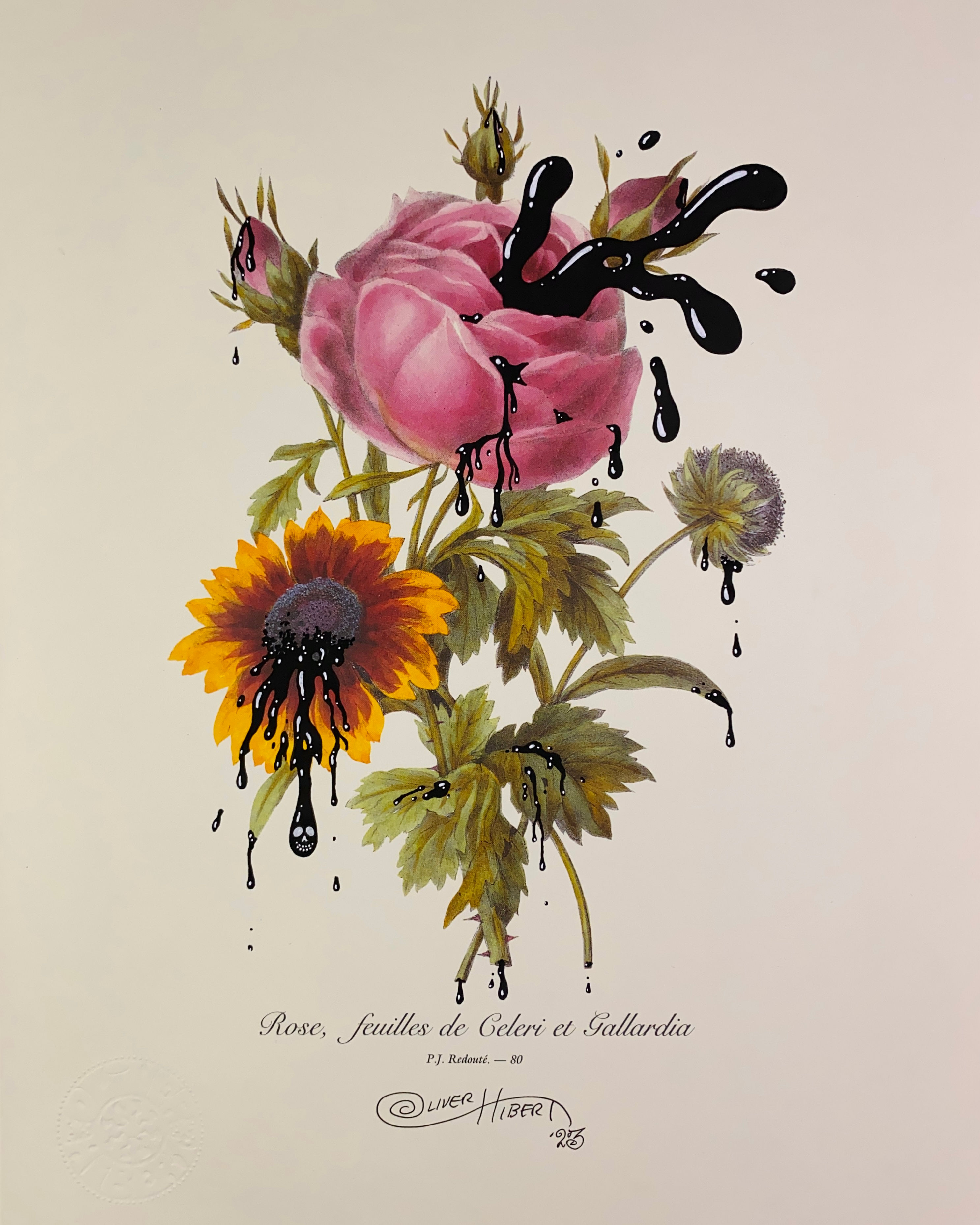 ROSE, FEUILLES DE CELERI ET GALLARDIA