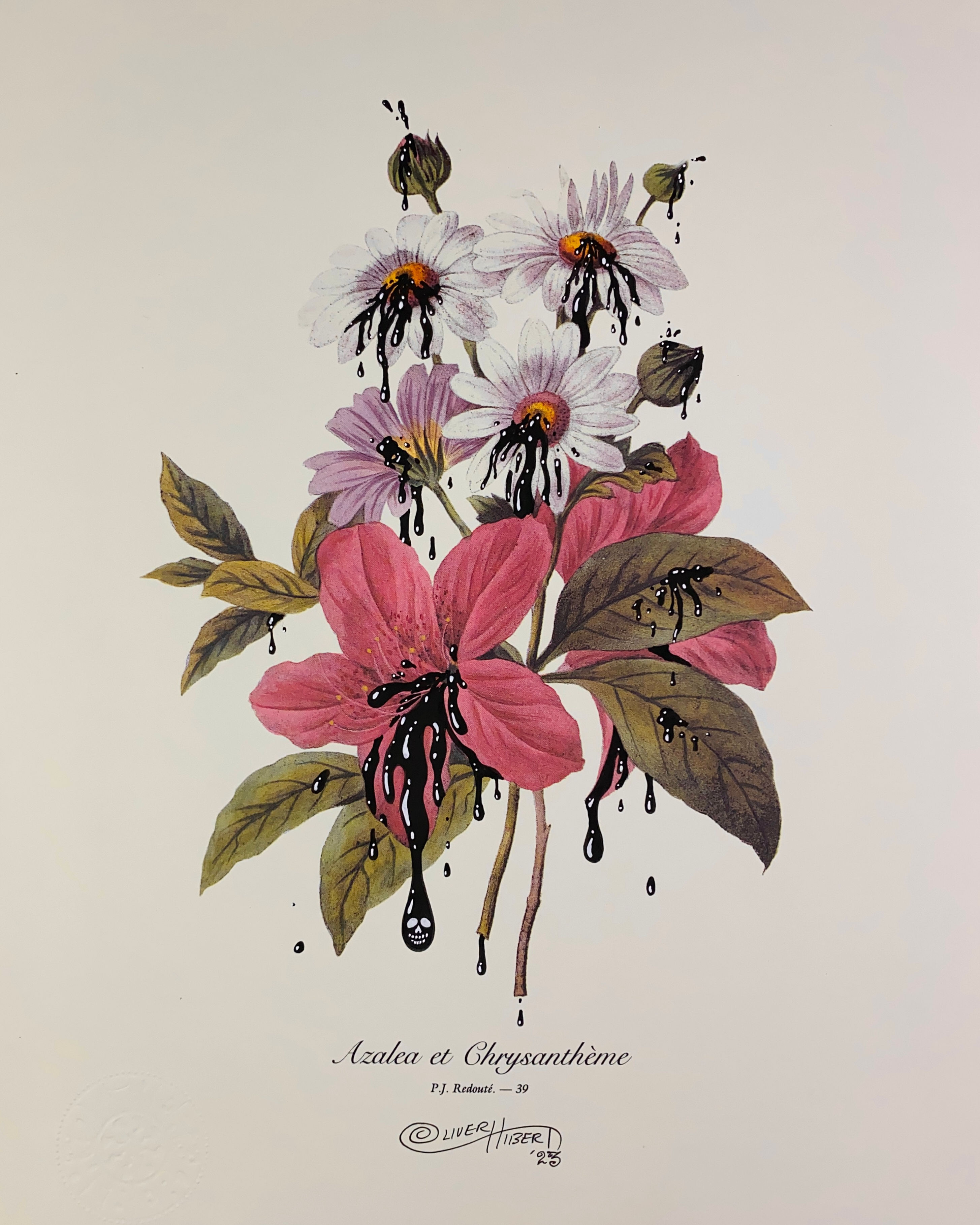 AZALEA ET CHRYSANTHEME