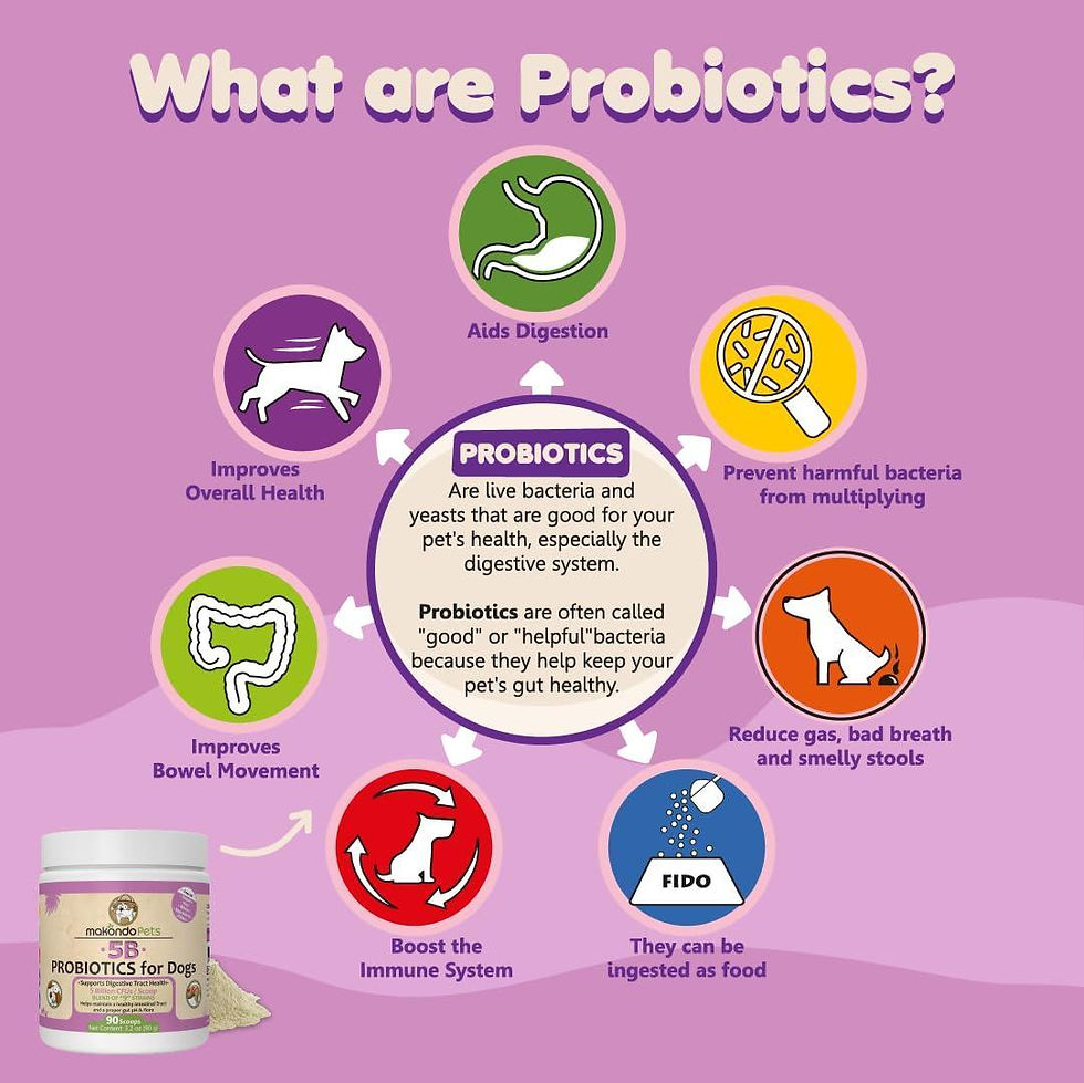 Thumbnail: Probiotics for Dogs Puppies Extra Strength 9 Species 5 Billion CFU per Scoop of