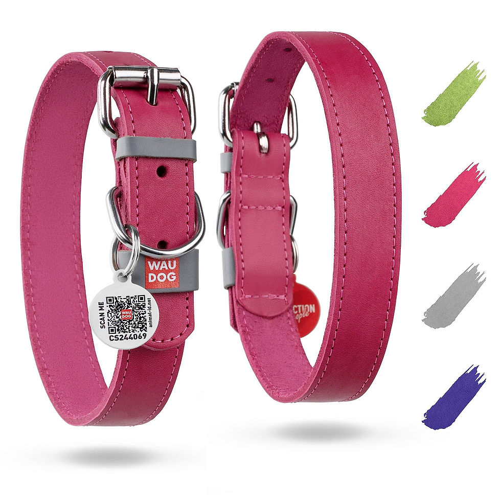 Thumbnail: Pink Long Lasting Leather Dog Collar for Small Dogs 1114 inch Neck Metal Buckle