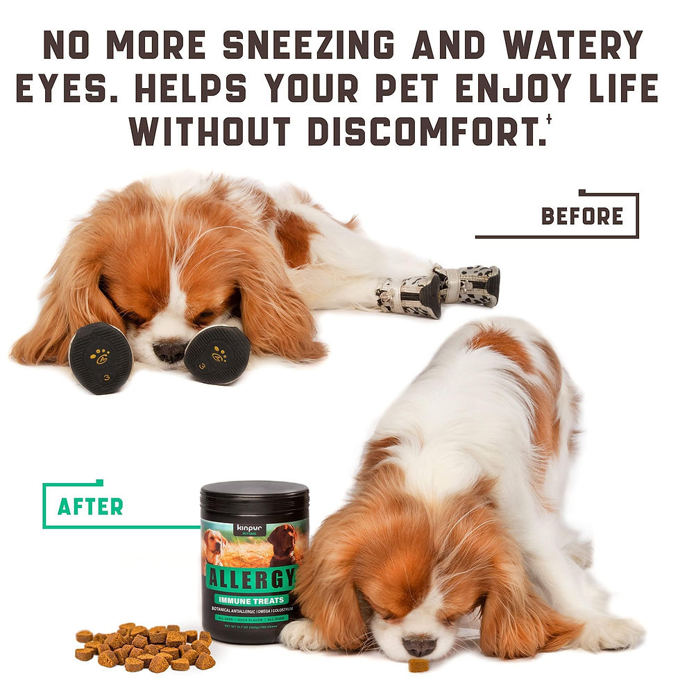 Thumbnail: Natural Dog Allergy Chews with Omega Probiotics Apple Cider Vinegar 180 Chews