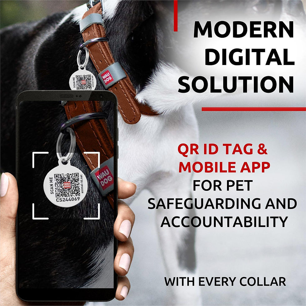 Thumbnail: Brown Long Lasting Leather Dog Collar for Small Dogs Adjustable 1114 in Neck