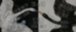 Credits - Ebb and Flo.png
