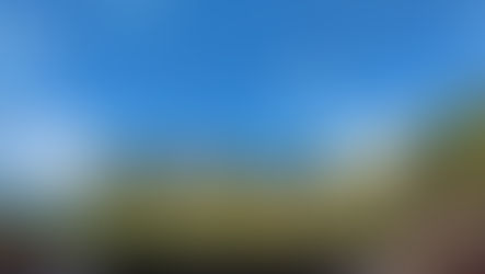 3つの「リアル」な話。