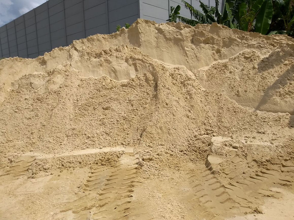 Areia Osório