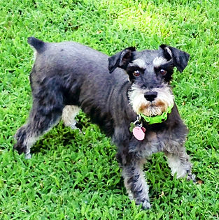 Maggie Renee 1_edited.jpg