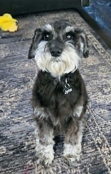 Jynx very good_edited.jpg