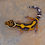 Thumbnail: 25-49- Bold tangerine - Male