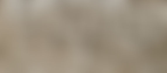 Why take separate cell salts/tissue salts when you can take the 12 in 1 Combination?