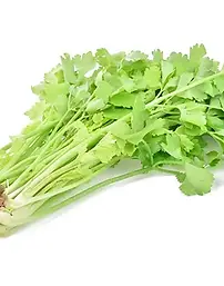 แป้นคีย์บอร์ดของคอมพิวเตอร์แล็ปท็อป