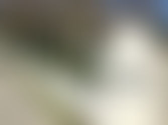 The Antigua Incident: How Scripps Admin Trains First Years To Suppress Ideas From Day One